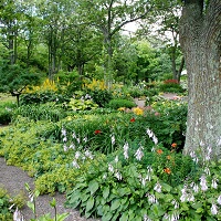 Outdoor Maintenance - Lawn